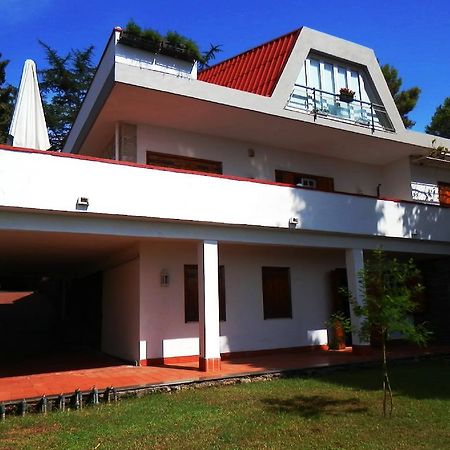 Bed And Breakfast Aloisio Сан-Грегорио-ди-Катания Экстерьер фото