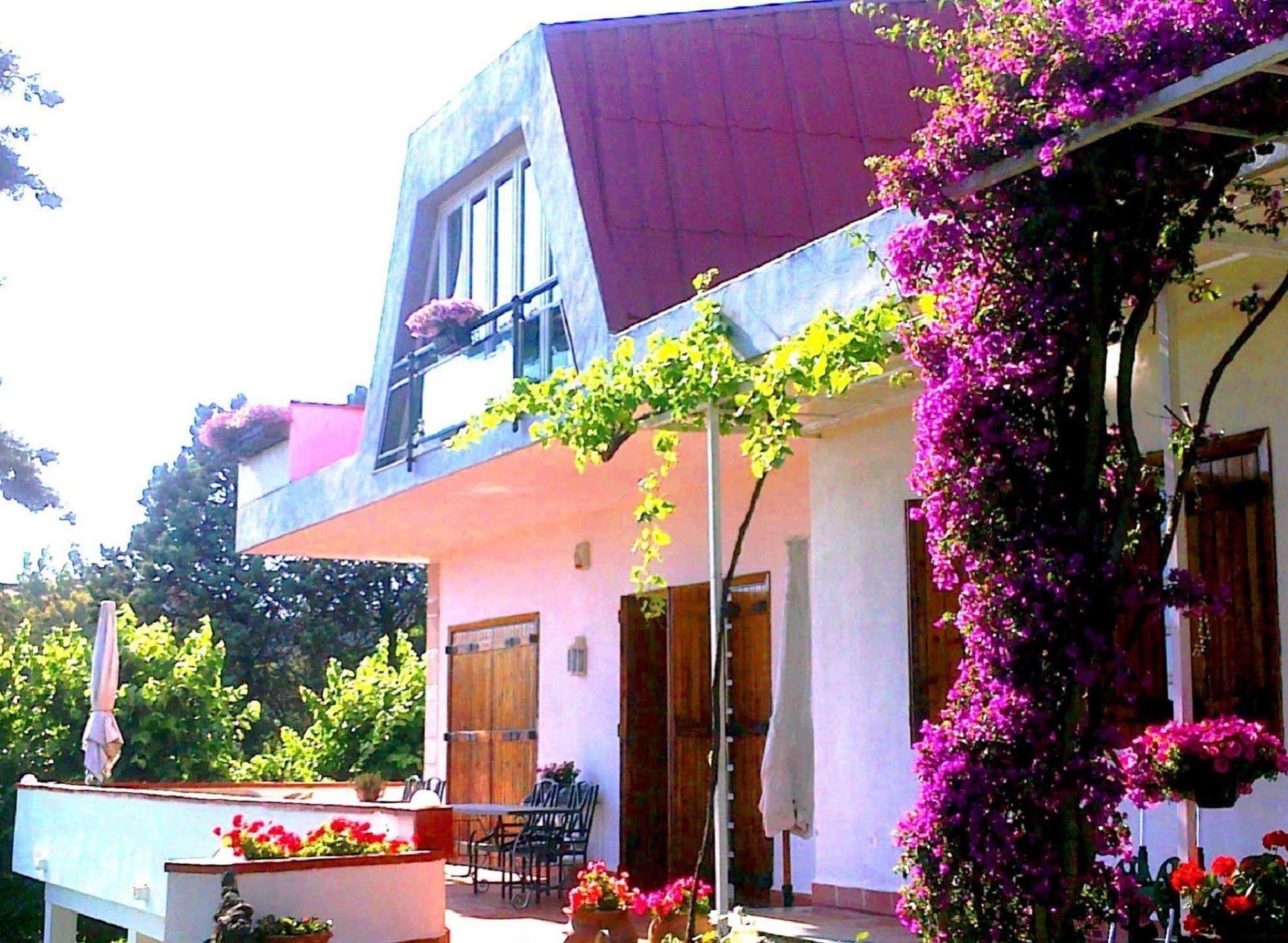 Bed And Breakfast Aloisio Сан-Грегорио-ди-Катания Экстерьер фото